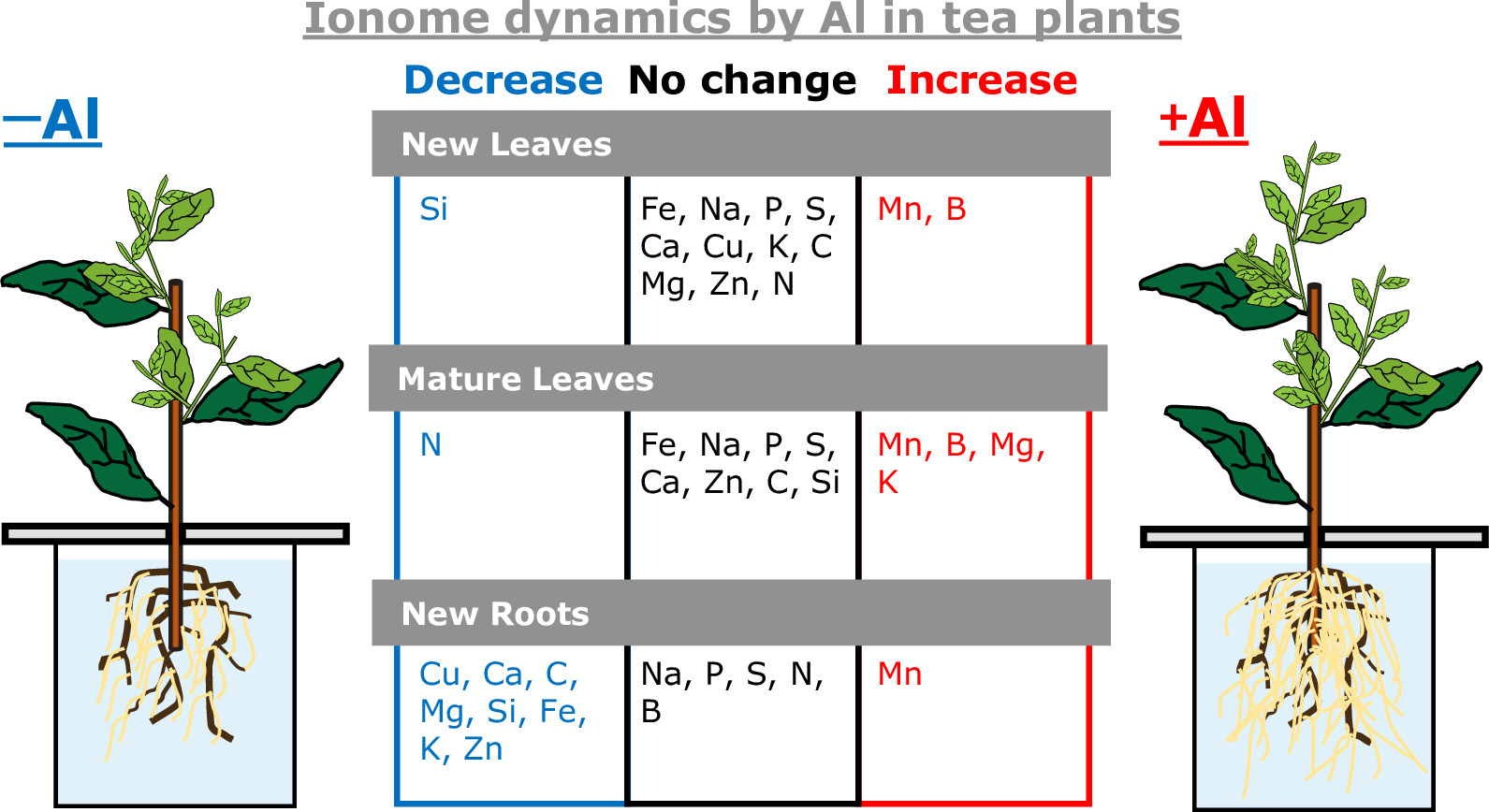 Soil Management Visual